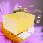 Plastic 7 Auto Shed Honey Beekeeping Hives Comb Frames. Fixed Price $114.06.