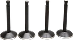 Kibblewhite 20-22100 Black Diamond Valve Kit Flh Duo-glide Panhead 48-65. Fixed Price $117.85.