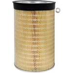 Baldwin Filters Heavy-duty Outer Air Element PA2518. Fixed Price $118.82.