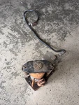 Vevor Air Hydraulic Bottle Jack, 20 TON/40000 Lbs All Welded. Fixed Price $47.00.