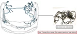Engine Room Harness Oem 2020 Ford Transcnct. Fixed Price $266.00.