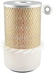 Baldwin Filters Heavy-duty Air PA1752-FN. Fixed Price $39.99.