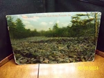 1910S Devil's Race Course Near Blue Ridge Summitt Pa Pennsylvania Riverbed Stone. Fixed Price $7.07.