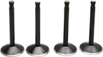 Kibblewhite Black Diamond Valve Kit 20-22100 Harley Davidson. Fixed Price $109.84.